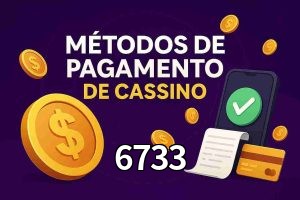 Métodos de Pagamento no 6733